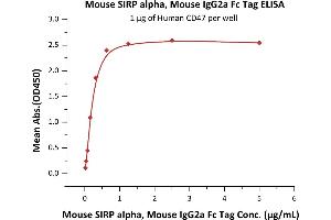 Image no. 1 for Signal-Regulatory Protein alpha (SIRPA) (AA 32-373) (Active) protein (Fc Tag) (ABIN6253632)