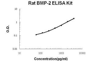 Image no. 1 for Bone Morphogenetic Protein 2 (BMP2) ELISA Kit (ABIN411261)