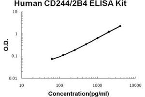 Image no. 1 for Natural Killer Cell Receptor 2B4 (CD244) ELISA Kit (ABIN1672841)