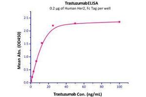 Immobilized Human Her2, Fc Tag (Cat# HE2-H5253) at 2 μg/mL (100 μl/well) can bind trastuzumab with a linear range of 0.