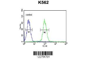 Image no. 1 for anti-Aldo-Keto Reductase Family 1, Member C3 (3-alpha Hydroxysteroid Dehydrogenase, Type II) (AKR1C3) (AA 10-36), (N-Term) antibody (ABIN654117)