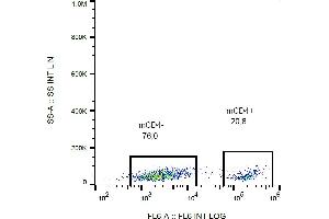 Image no. 2 for anti-CD4 (CD4) antibody (ABIN343704)