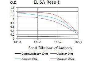 Image no. 4 for anti-Kelch-Like ECH-Associated Protein 1 (KEAP1) (AA 380-624) antibody (ABIN1098141)