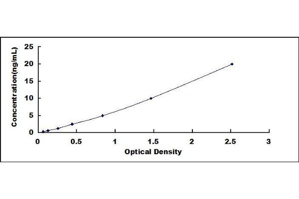 C1q ELISA Kit