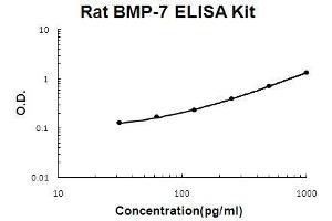 Image no. 1 for Bone Morphogenetic Protein 7 (BMP7) ELISA Kit (ABIN3071451)