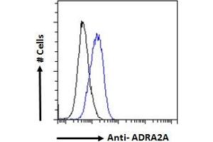 Image no. 2 for anti-Alpha-2A Adrenergic Receptor (ADRA2A) (Internal Region) antibody (ABIN185577)