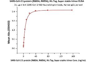 SARS-CoV-2 Spike Protein (Super Stable Trimer) (His tag)
