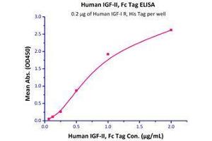 Immobilized Human IGF-I R, His Tag (Cat# IGR-H5229) at 2 μg/mL (100 µl/well),can bind Human IGF-II, Fc Tag (Cat# IG2-H4260) with a linear range of 0.
