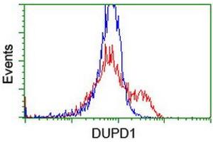 Image no. 6 for anti-Dual Specificity Phosphatase and Pro Isomerase Domain Containing 1 (DUPD1) antibody (ABIN1497927)