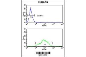 Flow Cytometry (FACS) image for anti-Electron-Transferring-Flavoprotein Dehydrogenase (ETFDH) antibody (ABIN2158747)