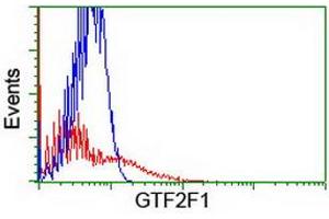 GTF2F1 Antikörper