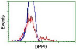 Image no. 2 for anti-Dipeptidyl-Peptidase 9 (DPP9) antibody (ABIN2719736)