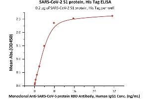 Image no. 1 for SARS-CoV-2 Spike S1 protein (His tag) (ABIN6952427)