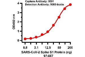 Image no. 8 for anti-SARS-CoV-2 Spike antibody (ABIN6952962)