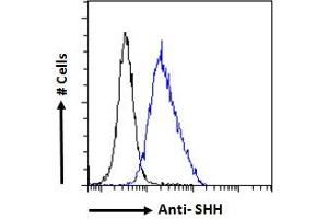 Image no. 5 for anti-Sonic Hedgehog (SHH) (C-Term) antibody (ABIN6391361)