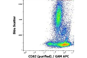 Image no. 3 for anti-CD82 (CD82) antibody (ABIN1043024)