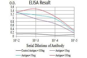 Image no. 5 for anti-Elastase, Neutrophil Expressed (ELANE) (AA 140-267) antibody (ABIN5611332)
