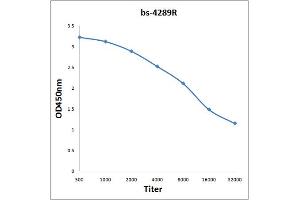 Image no. 2 for anti-Serotonin Receptor 3B (HTR3B) (AA 101-200) antibody (ABIN706466)