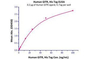 Immobilized Human GITR, His Tag (Cat# GIR-H5228) at 2 μg/mL (100 μl/well) can bind Human GITR Ligand, Fc Tag (Cat# GIL-H526a ) with a linear range of 0.