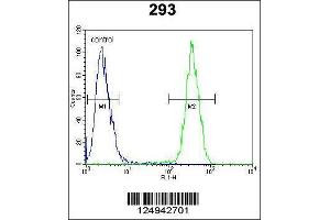 Image no. 4 for anti-ClpX Caseinolytic Peptidase X (CLPX) (AA 449-477), (C-Term) antibody (ABIN654723)