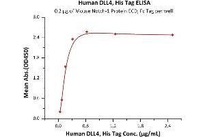 Immobilized Mouse Notch-1 Protein ECD, Fc Tag at 2 μg/mL (100 μL/well) can bind Human DLL4, His Tag (ABIN2180972,ABIN2180971) with a linear range of 0.