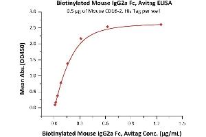 ELISA image for HEK-293 Cells IgG isotype control (AVI tag,Biotin) (ABIN2870572)