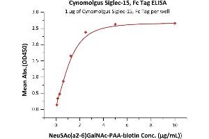 Image no. 3 for Sialic Acid Binding Ig-Like Lectin 15 (SIGLEC15) (AA 20-263) (Active) protein (Fc Tag) (ABIN6938874)