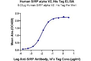 Image no. 5 for SIRP AlphaV2 protein (His tag) (ABIN7275653)