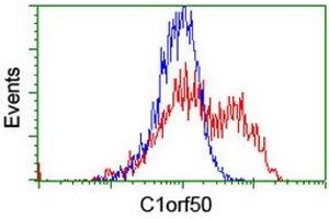 Image no. 2 for anti-Chromosome 1 Open Reading Frame 50 (C1ORF50) antibody (ABIN1497033)