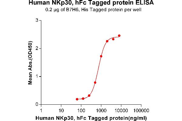 Natural Cytotoxicity Triggering Receptor 3 (NCR3) protein (Fc Tag)