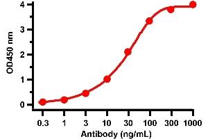 ELISA image for anti-SARS-CoV-2 Spike antibody (ABIN6952962)