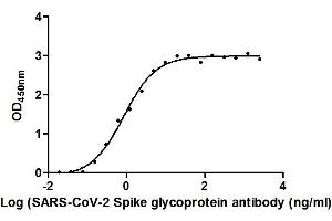 Image no. 2 for anti-SARS-CoV-2 Spike S1 (RBD) antibody (ABIN6953152)