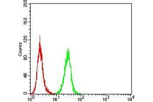 Flow cytometric analysis of NIH/3T3 cells using PDGFRB mouse mAb (green) and negative control (red).