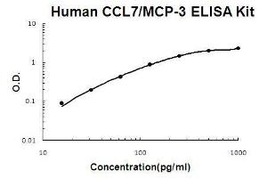 Image no. 1 for Chemokine (C-C Motif) Ligand 7 (CCL7) ELISA Kit (ABIN1672742)