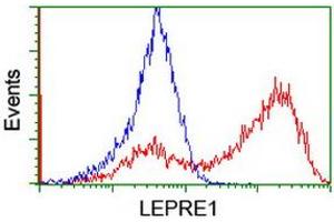 Image no. 2 for anti-Leucine Proline-Enriched Proteoglycan (Leprecan) 1 (LEPRE1) antibody (ABIN1499128)