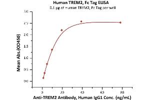 Immobilized Human TREM2, Fc Tag (ABIN6973289) at 1 μg/mL (100 μL/well) can bind A Antibody, Human IgG1 with a linear range of 1-20 ng/mL (QC tested).