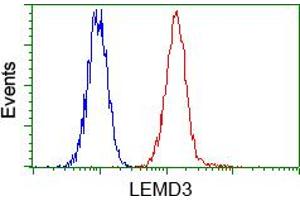 Image no. 4 for anti-LEM Domain Containing 3 (LEMD3) antibody (ABIN1499118)