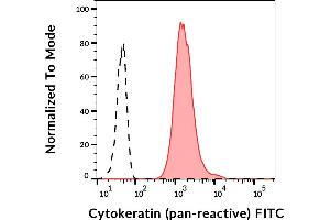 Image no. 1 for anti-pan Keratin (panKRT) antibody (FITC) (ABIN2749079)
