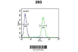 Image no. 3 for anti-Roundabout, Axon Guidance Receptor, Homolog 4 (ROBO4) (AA 236-264), (N-Term) antibody (ABIN651292)
