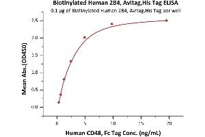 Immobilized Biotinylated Human 2B4, Avitag,His Tag (recommended for biopanning) (ABIN5674581,ABIN6253686) at 1 μg/mL (100 μL/well) on streptavidin precoated (0.