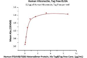 Vitronectin Protein (VTN) (AA 20-398)