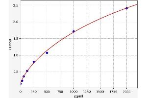 SIRT1 ELISA Kit