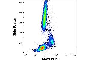 anti-CD86 (CD86) antibody (FITC)