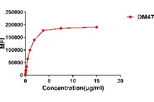 Image no. 4 for anti-Angiotensin I Converting Enzyme 2 (ACE2) (AA 18-740) antibody (ABIN6964047)