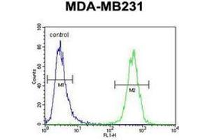 anti-HERV-H LTR-Associating 2 (HHLA2) (AA 65-95), (N-Term) antibody
