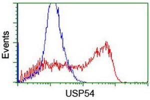 Image no. 2 for anti-Ubiquitin Specific Peptidase 54 (USP54) (AA 358-700) antibody (ABIN1491453)