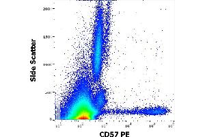 Flow cytometry surface staining pattern of human peripheral whole blood stained using anti-human CD57 (TB01) PE antibody (10 μL reagent / 100 μL of peripheral whole blood).