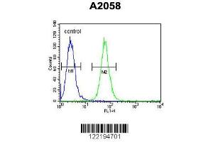 Image no. 1 for anti-Abhydrolase Domain Containing 14B (ABHD14B) (AA 150-179), (C-Term) antibody (ABIN653654)