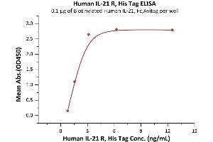 Immobilized Biotinylated Human IL-21, Fc,Avitag (ABIN5674598,ABIN6253717) at 2 μg/mL (100 μL/well) can bind Human IL-21 R, His Tag (ABIN2181372,ABIN2181371) with a linear range of 2-8 ng/mL (QC tested).