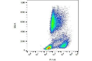 Image no. 1 for anti-Selectin P (Granule Membrane Protein 140kDa, Antigen CD62) (SELP) antibody (FITC) (ABIN810080)